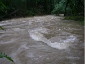 Flooding